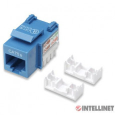 Intellinet 키스톤잭 Cat5e blue LAN RJ45